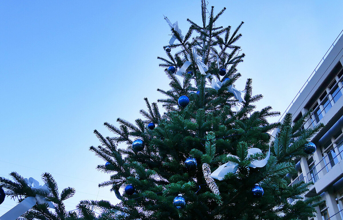 Universität Düsseldorf Weihnachtsbaum als Dankeschön